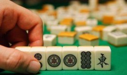 吉林打麻将爆料案件最新,揭秘背后惊人内幕与法律交锋