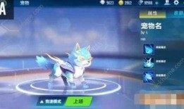 QQ飞车最新宠物爆料,神秘力量觉醒，速度与激情再升级！