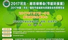 大城最新爆料新闻,揭秘惊人内幕，真相令人震惊！