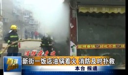 唐山饭馆爆料视频最新消息,事件细节及后续影响揭秘