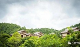 大城最新爆料新闻,揭秘惊人内幕，真相令人震惊！