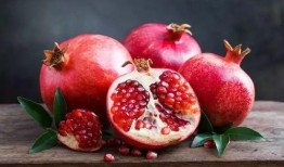 石榴酱最新爆料信息,娱乐圈最新爆料大起底！