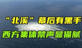 赖岳谦最新爆料,揭秘娱乐圈惊人内幕