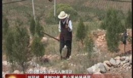 层岩老舅最新爆料